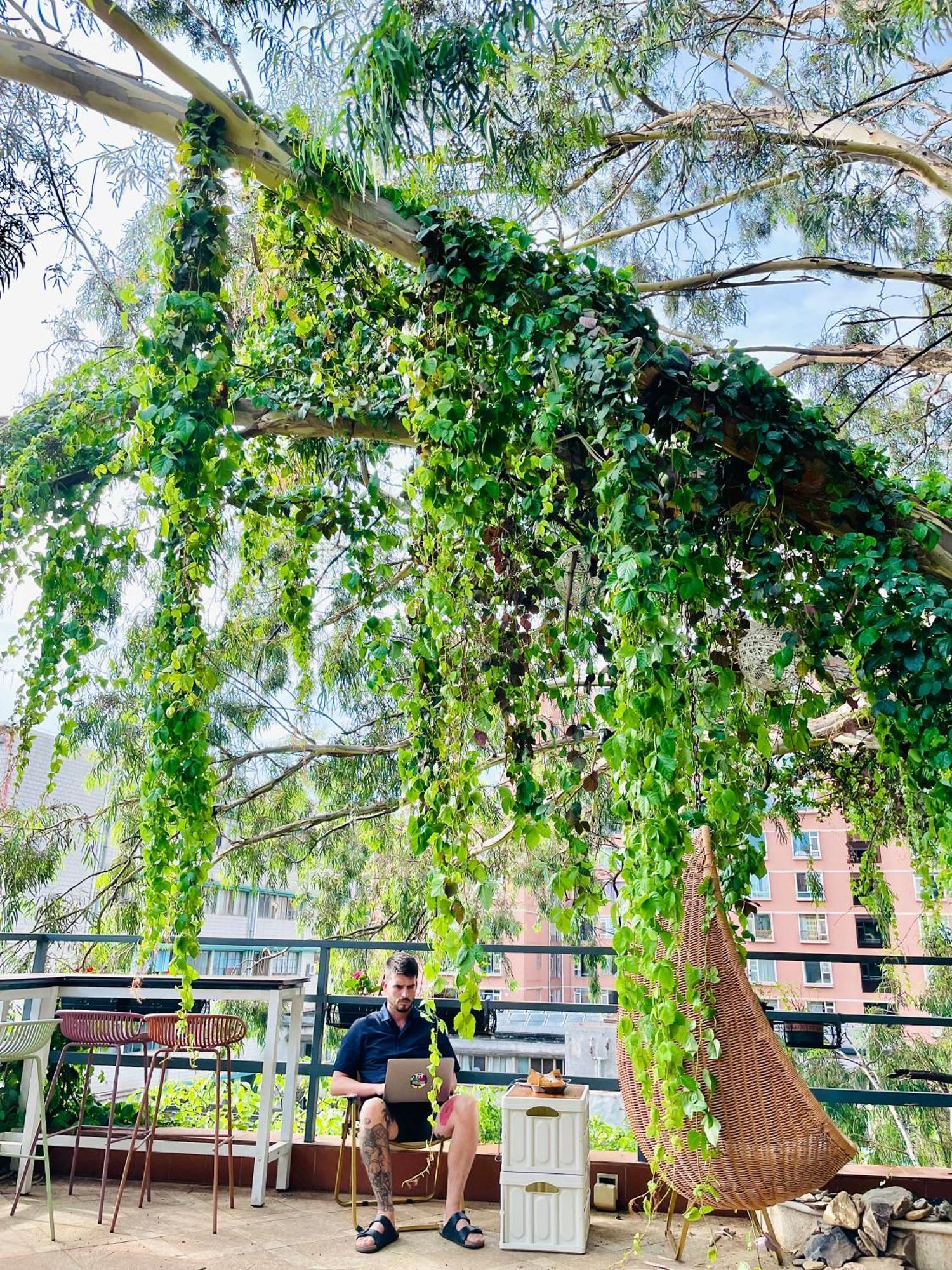 Kunming Upland International Youth Hostel Near The City Center ,2 Mins Walk To The Subway, 2 Mins Walk To The Green Lake, Close To Yuan Tong Temple, Old Street, Yunnan University, Convenient Payment And Visa Cards Are Accepted Exterior foto